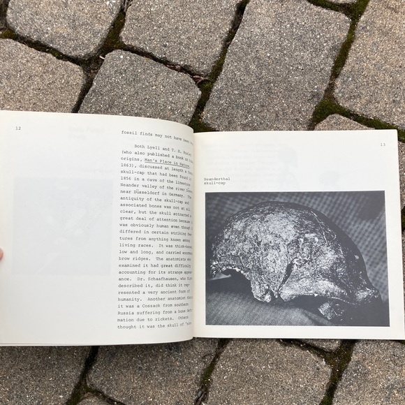 1972 The Quest for Fossil Man Education Development Skull Skeleton Sciences - Picture 4 of 11